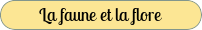 La faune et la flore